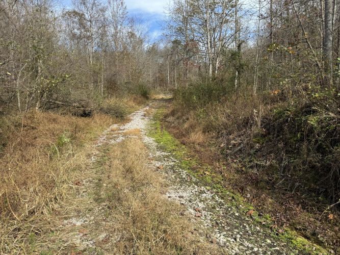 Listing Image 22