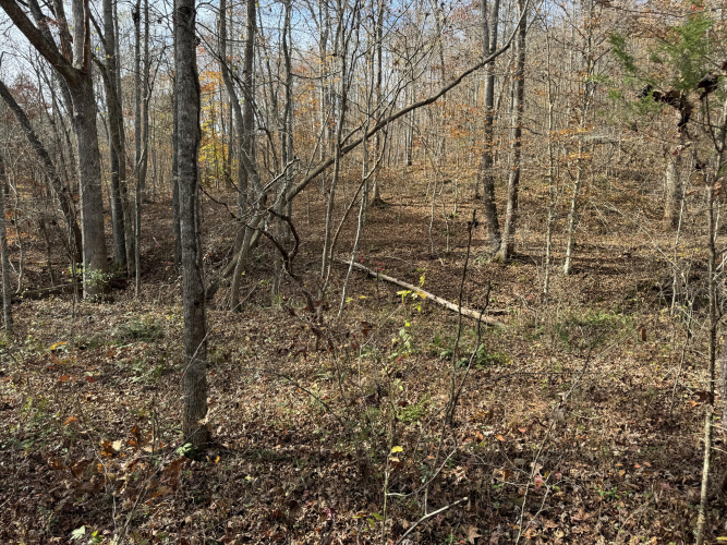 Listing Image 25