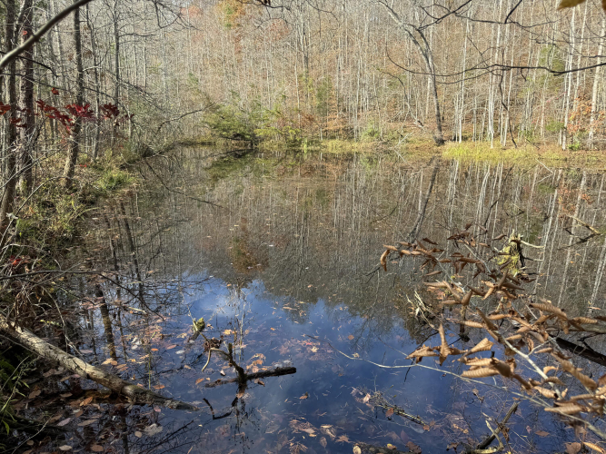 Listing Image 27