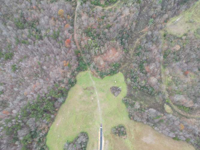 Listing Image 5
