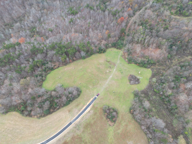 Listing Image 9
