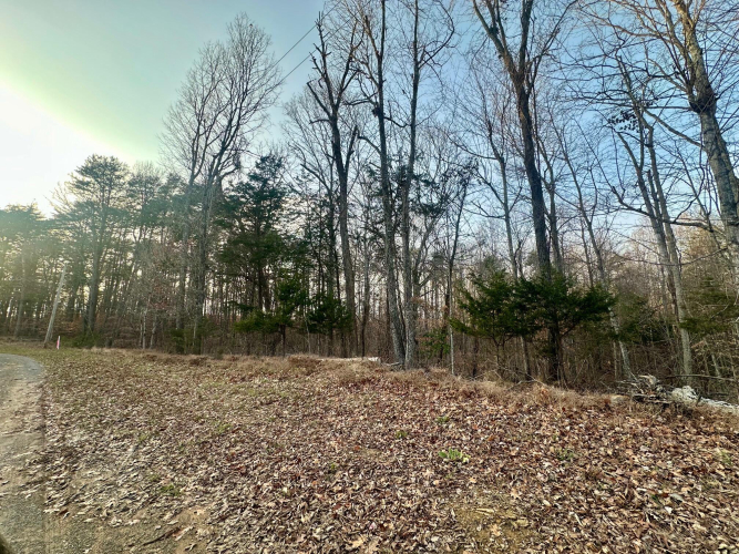 Listing Image 16