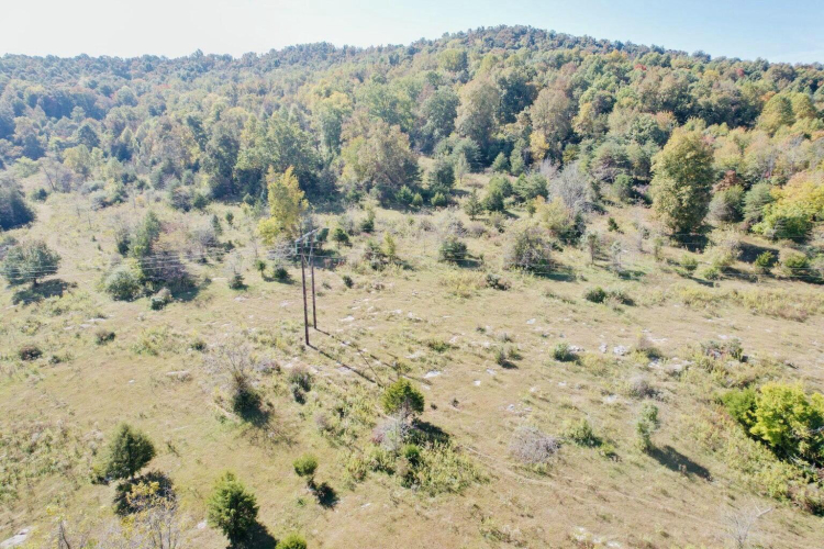 Listing Image 18