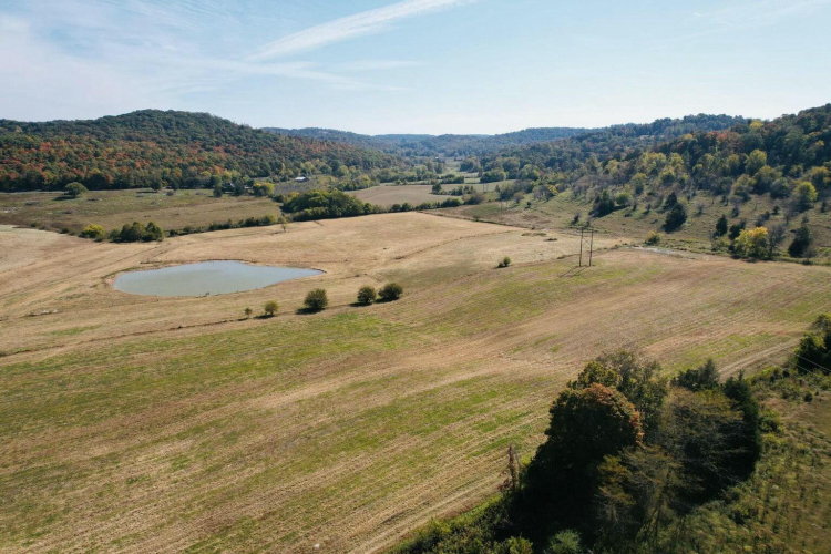 Listing Image 19