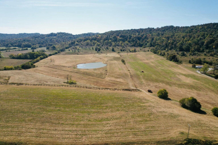 Listing Image 20