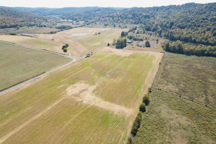 Listing Image 29