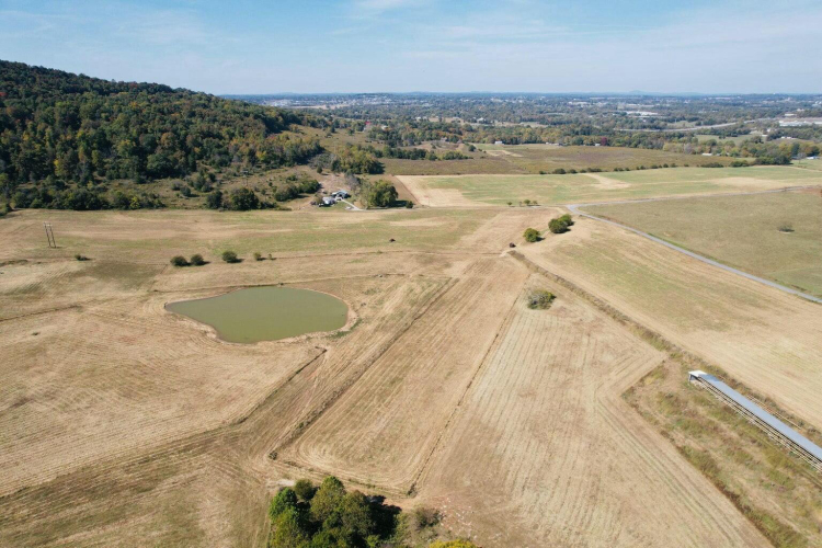 Listing Image 33