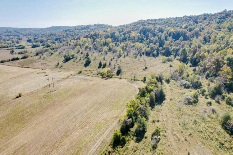 Listing Image 47