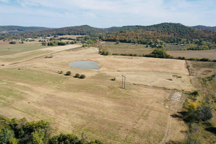 Listing Image 48