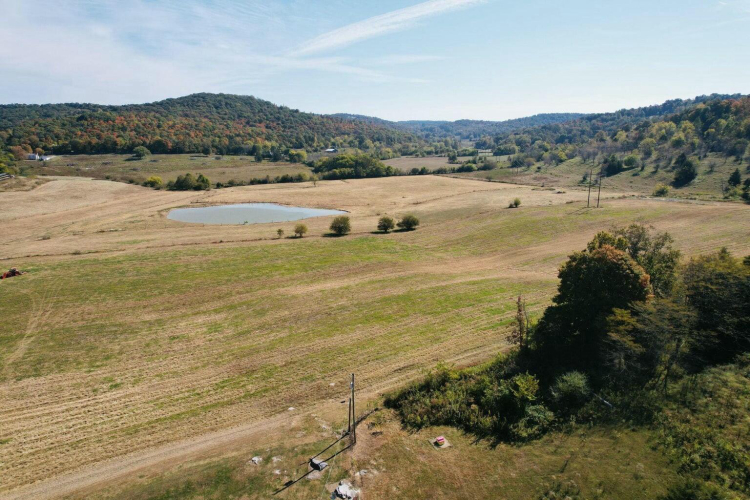 Listing Image 17