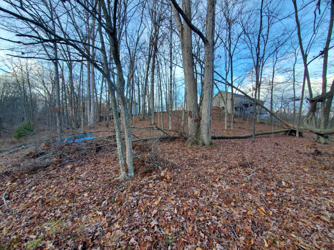 Listing Image 16
