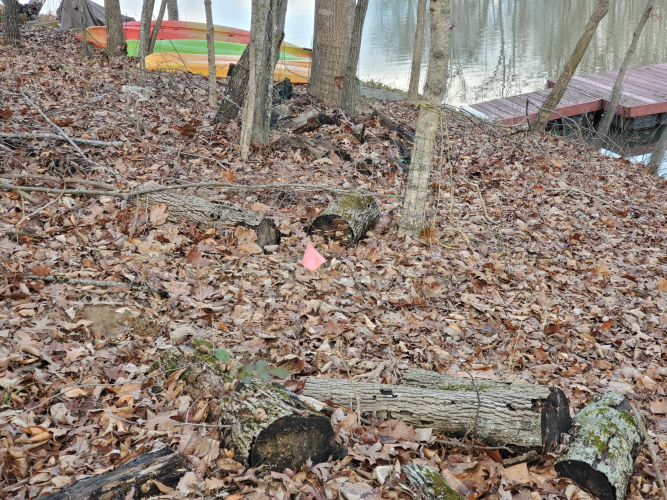 Listing Image 17