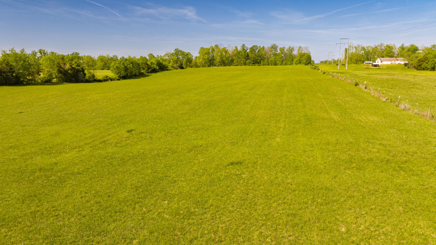 Listing Image 24