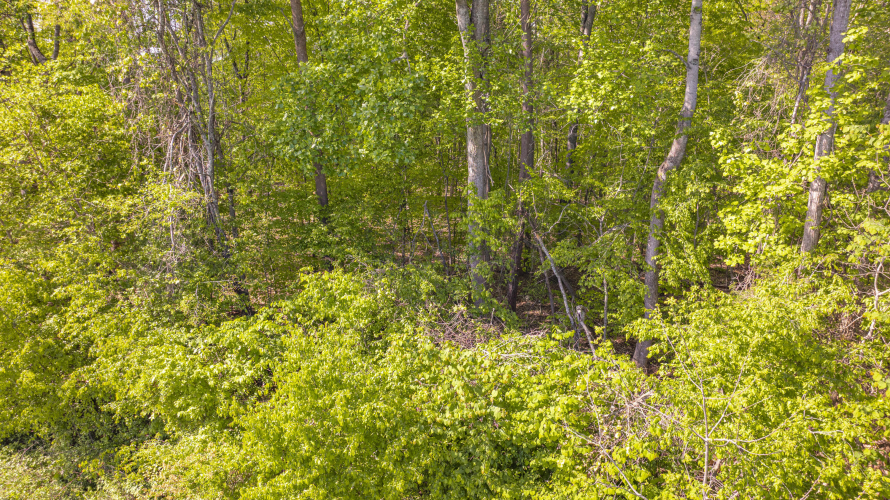 Listing Image 28