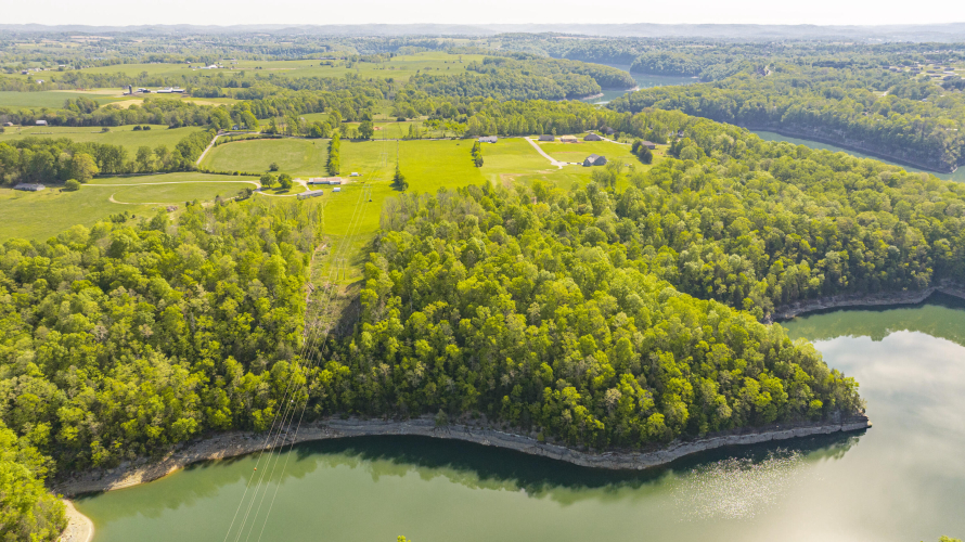 Listing Image 9