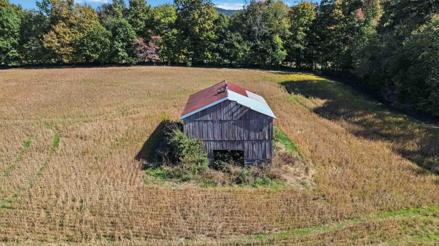 Listing Image 13