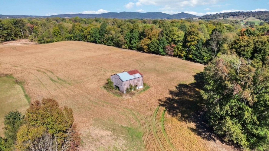 Listing Image 14
