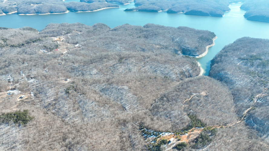 Listing Image 11