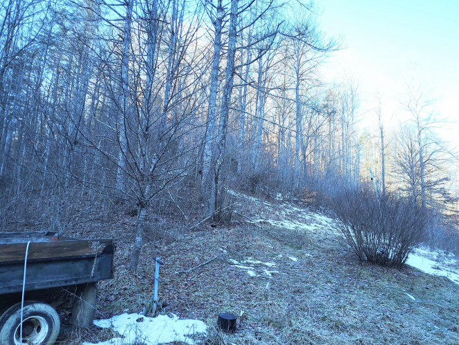 Listing Image 17