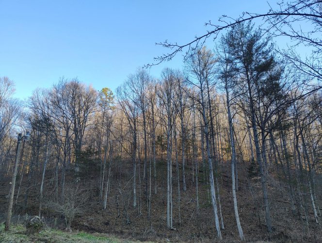 Listing Image 18