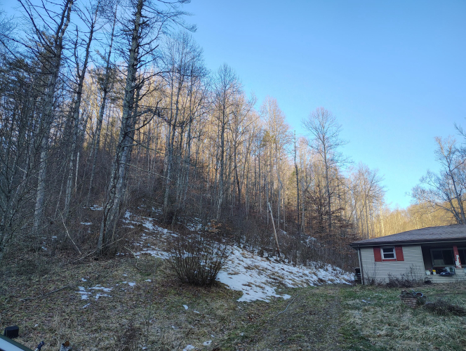Listing Image 19