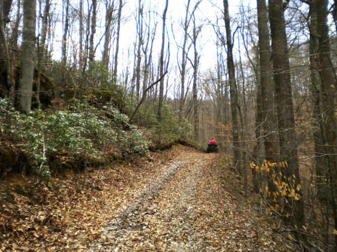 Listing Image 14