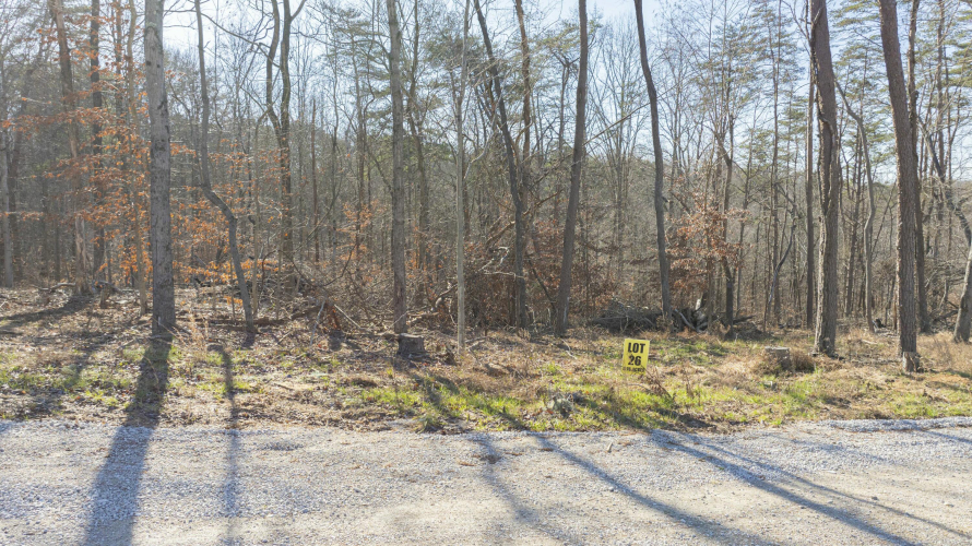 Listing Image 18