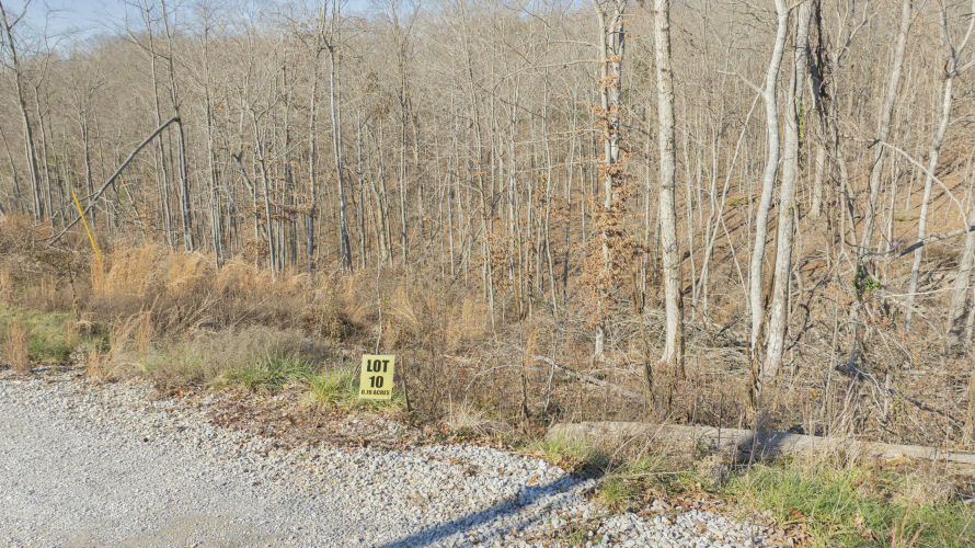Listing Image 22