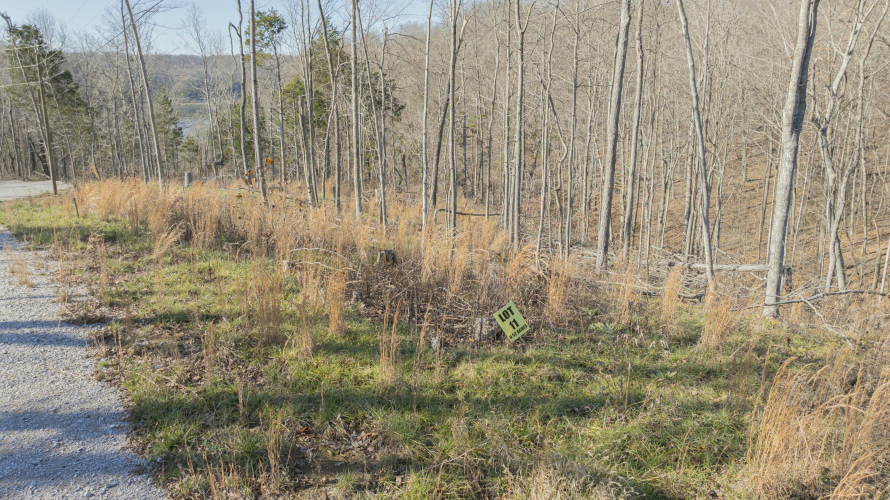 Listing Image 23