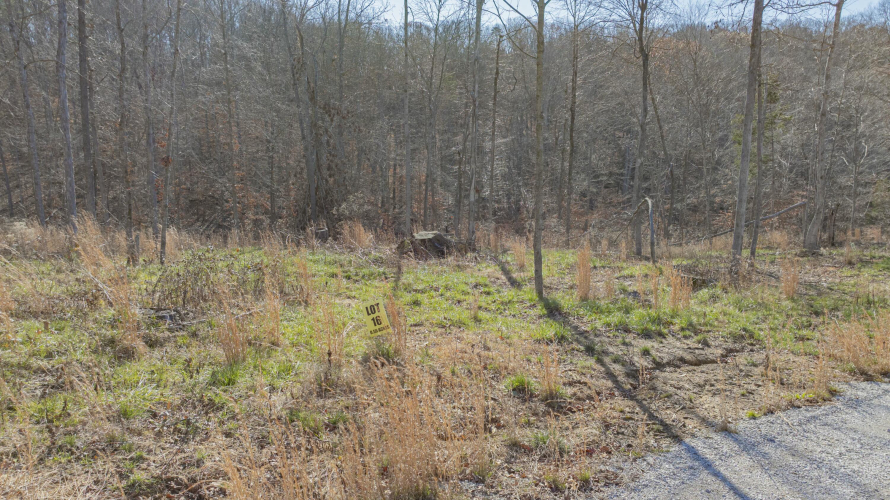 Listing Image 25