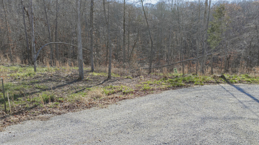 Listing Image 27