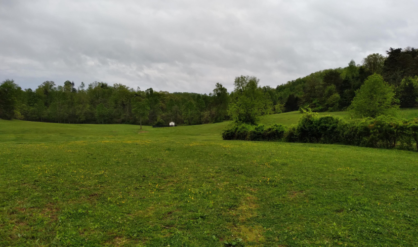 Listing Image 14