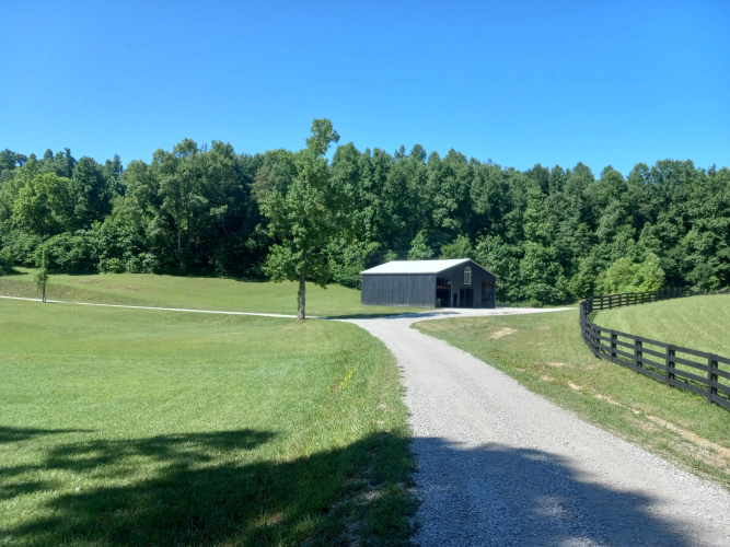 Listing Image 29