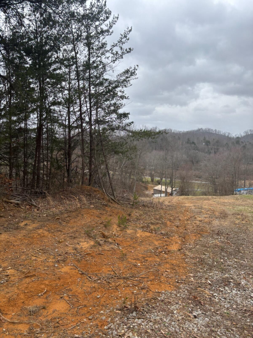 Listing Image 8