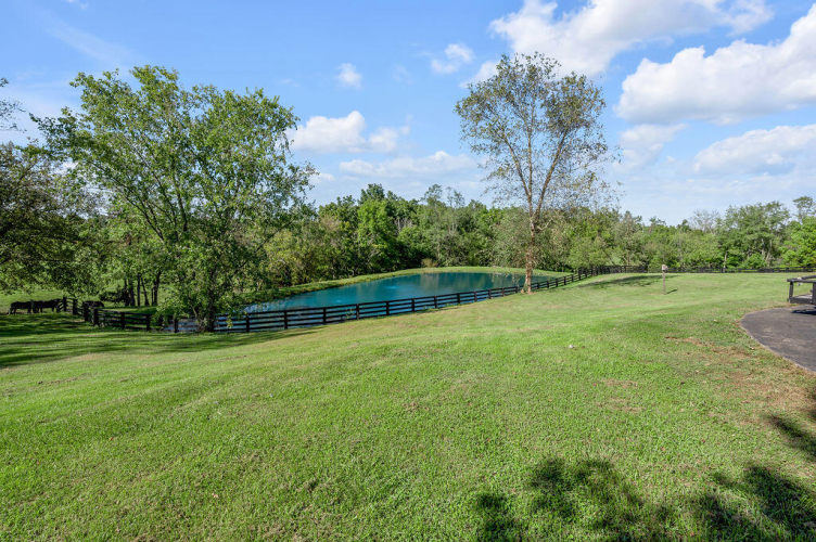 Listing Image 80