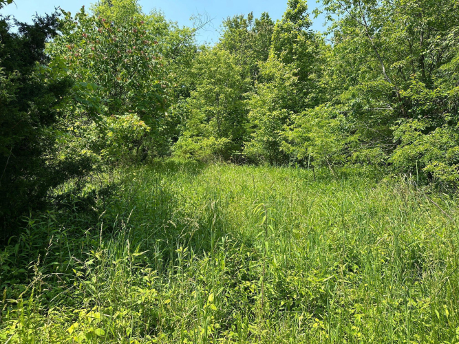Listing Image 101