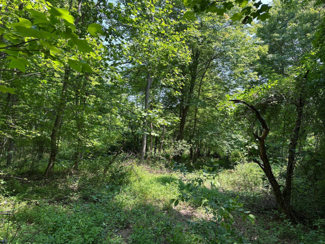 Listing Image 102