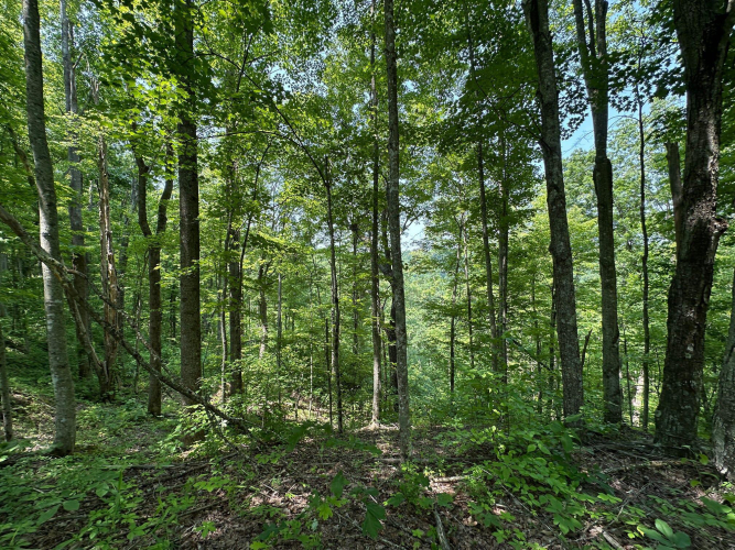 Listing Image 103