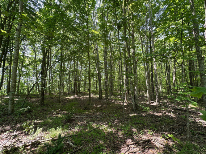 Listing Image 105
