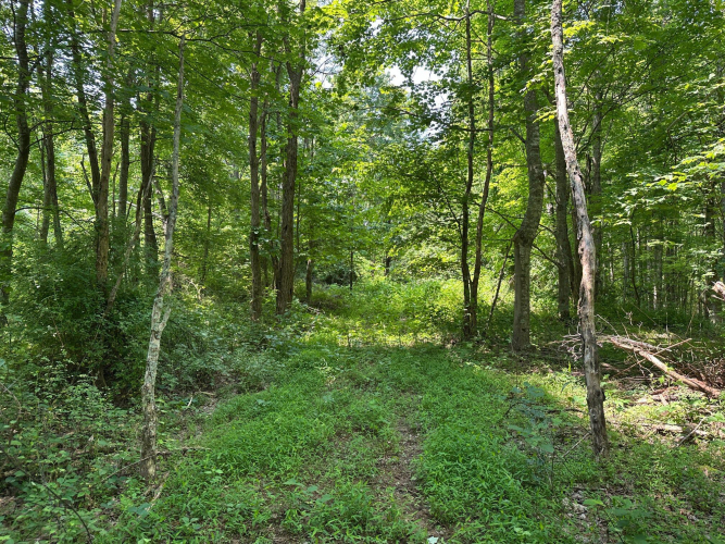 Listing Image 106