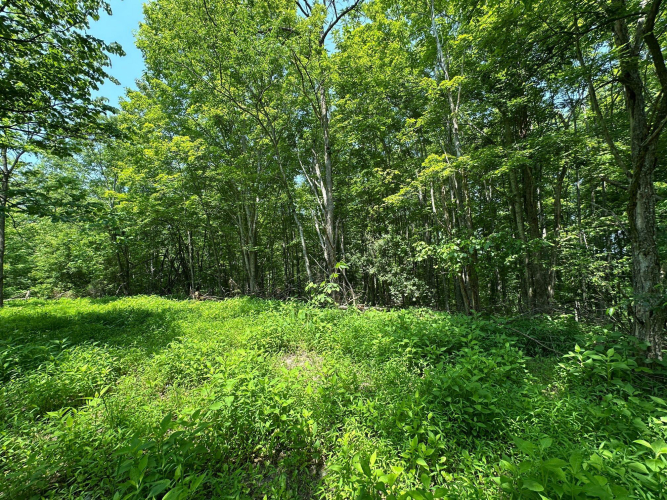 Listing Image 107
