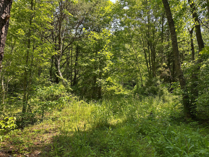 Listing Image 108