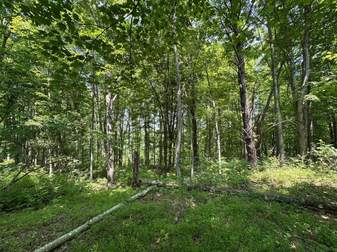 Listing Image 109