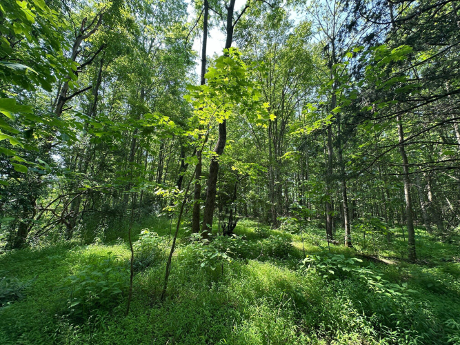 Listing Image 110