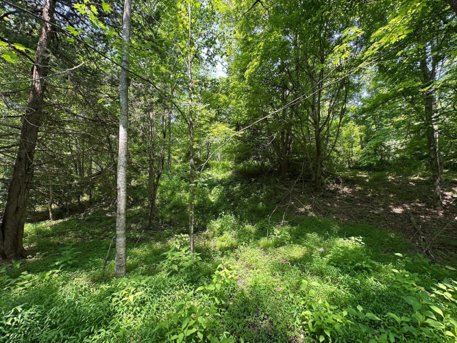 Listing Image 111