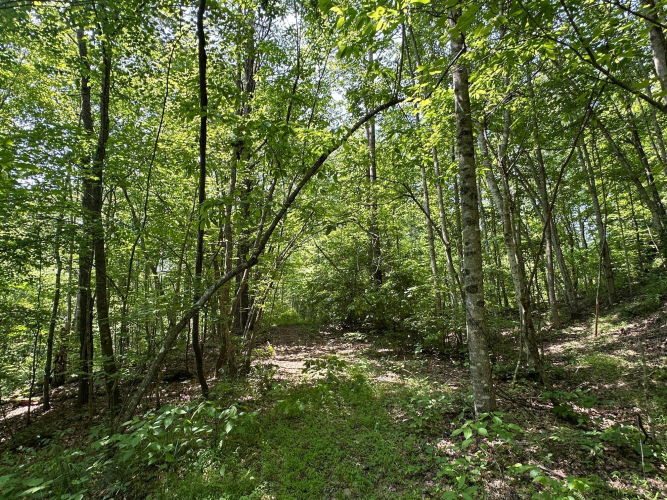 Listing Image 112