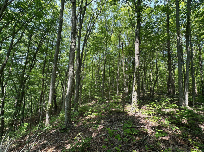 Listing Image 113