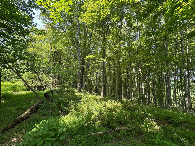 Listing Image 114