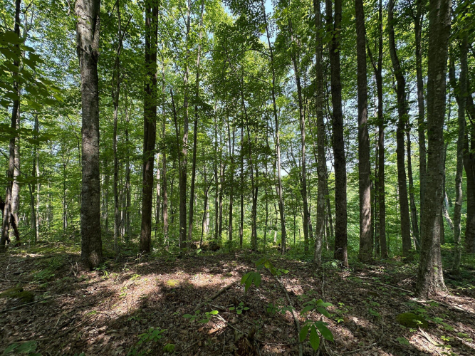 Listing Image 116