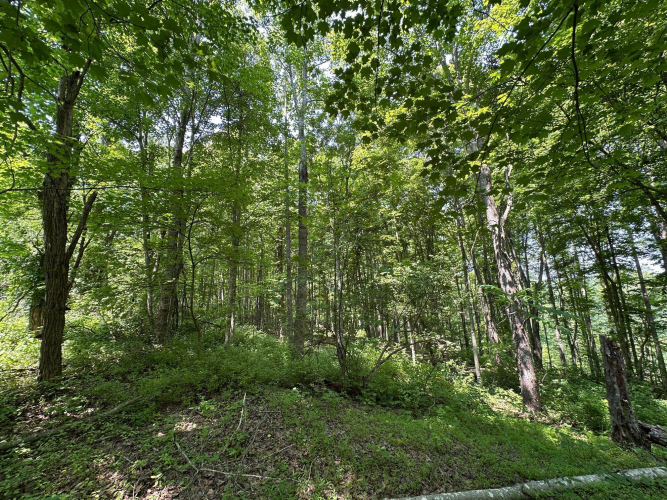 Listing Image 118